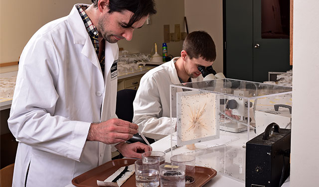 Dos entomólogos de SC Johnson trabajando en su laboratorio.